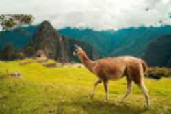 Our 'Machu Picchu, Rainbow Mountain and Salt Flats' trip