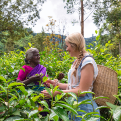 Blonde traveller taking part in tea plantation with the locals.