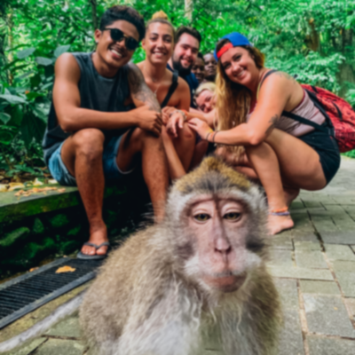 Group of travellers sat smiling behind a monkey in Ubud money forest.