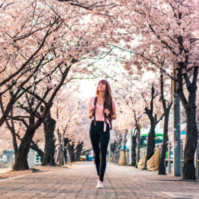Girl traveller smiling whilst walking though a street of cherry blossom.