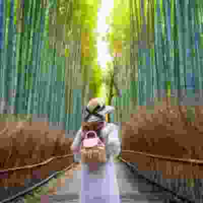 Women exploring Bamboo Forest.