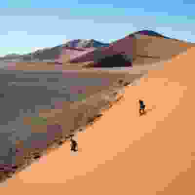 Explore the world's tallest sand dunes in the Namib desert