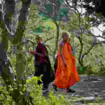 Monks in Sri Lanka near mountains and trees