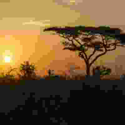 Serengetti sunset